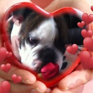 Meet your Posher, Ginette